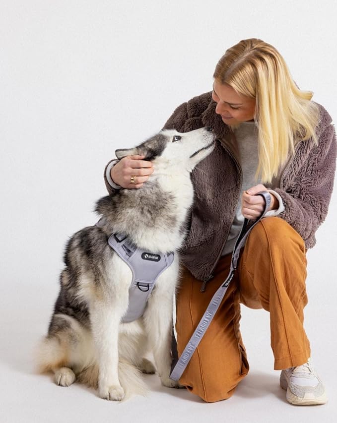 2025 New Edition, Fei &amp; Eve MagEase Dog Harness - 3-Second Magnetic Buckles | 3-Point No-Pull Control | Heavy-Duty 900D Nylon | Dual Safety Handles | Breathable Mesh | Adjustable Fit | X-Large, Gray