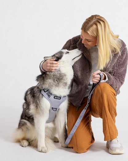 2025 New Edition, Fei &amp; Eve MagEase Dog Harness - 3-Second Magnetic Buckles | 3-Point No-Pull Control | Heavy-Duty 900D Nylon | Dual Safety Handles | Breathable Mesh | Adjustable Fit | X-Large, Gray