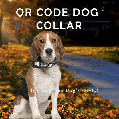 Reflective Dog Collar with Apple AirTag Holder &amp; QR Code Pet ID Tag,Soft Nylon Adjustable Dog Tracker Collar with Safety Lock for Large Dogs(Black, L)