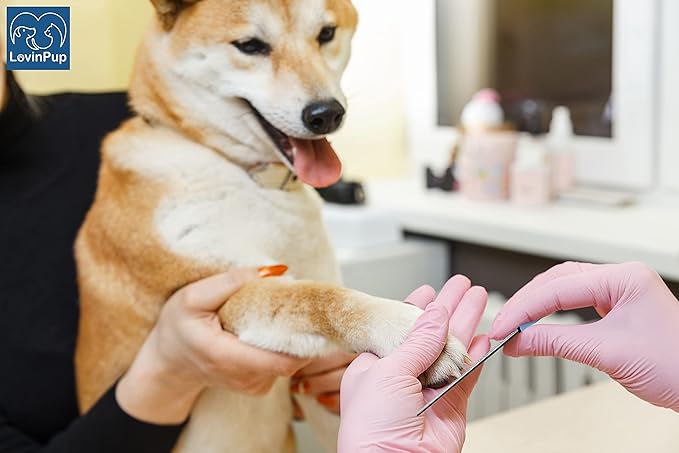 Dog Nail Filer, Professional Nail Grooming Tool, Dog and Cat Nail Files, for Smoothing Rough Edges of Pet’s Nails, Best Nail Filer for Small/Large Dogs &amp; Cats (3 Dog Nail Filers Set)