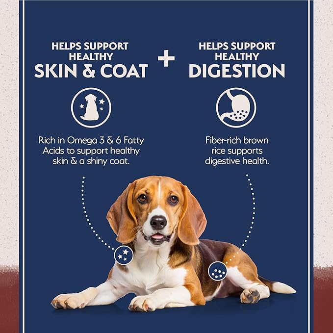 Natural Balance Limited Ingredient Adult Dry Dog Food with Healthy Grains, Beef &amp; Brown Rice Recipe, 12 Pound (Pack of 1)