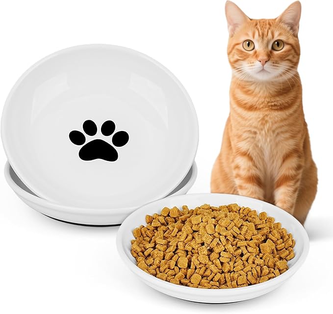 Ceramic Cat Food Bowls - 2 Pack Shallow Plates for Wet Food, Whisker-Friendly Feeding Dish with Non-Slip Silicone Base, Microwave &amp; Dishwasher Safe for Indoor Cats &amp; Kittens