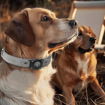AirTag Dog Collar - Leather Dog Collar with Air Tag Holder | IPX8 Waterproof, Reflective, High - End, Adjustable Soft Padded | Dog GPS Tracker Collars Fit for Medium Large Dogs (Grey, XL)