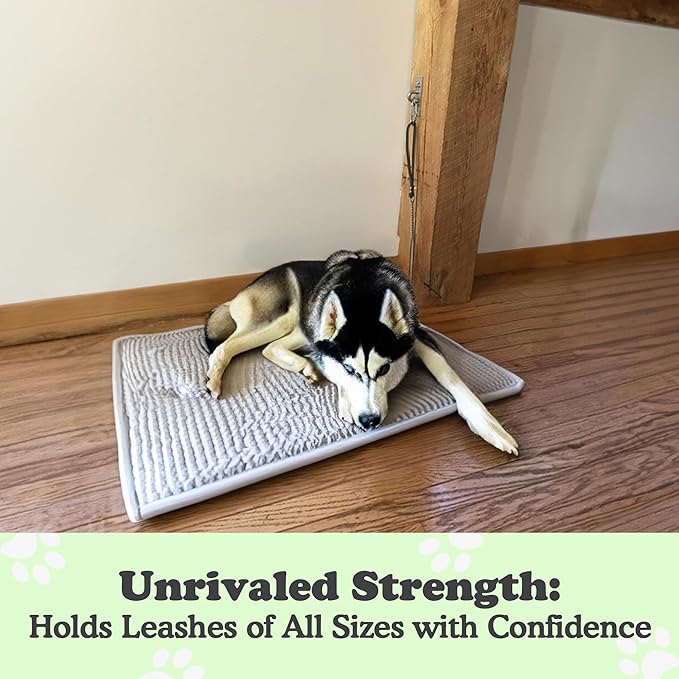 Canine Hitch- Secure Dog Leash Parking Wall Slim Hook with Clip 6 Pack - Tie Out Stainless Steel &amp; ABS Mounting Plate for Strength - Practical Lead Management for Home &amp; Business