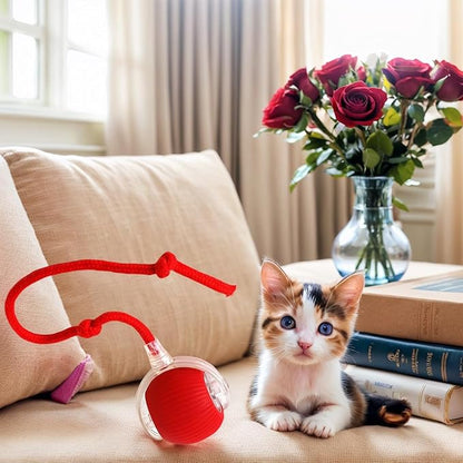 Cat Toys Cat Toys for Indoor Cats Interactive Cat Toys Smart Obstacle Avoidance Cat Ball Indoor Cat Boredom Interactive Toys (Grizzly)