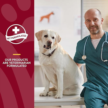 NaturVet – Bladder Support for Dogs – Plus Cranberry | Supports Healthy Bladder Control &amp; Normal Urination | 60 Time Release Chewable Tablets