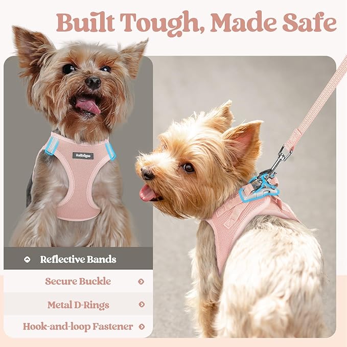 rabbitgoo Dog Harness Small Sized and Leash Set, Step in Soft Light Puppy Vest, Breathable Mesh Pet Harness, Reflective for Safe Outdoor Walking, Pink S