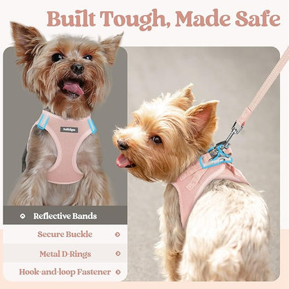 rabbitgoo Dog Harness Small Sized and Leash Set, Step in Soft Light Puppy Vest, Breathable Mesh Pet Harness, Reflective for Safe Outdoor Walking, Pink S