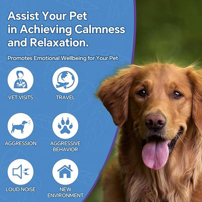 Hemp Seed Oil for Dogs and Cats - Omega-3, 6, 9 Rich Organic Extract - Eases Pet Anxiety, Pain, Skin &amp; Coat Health - Stress Relief, Hip &amp; Joint Support - Calming Treats (2 Pack)