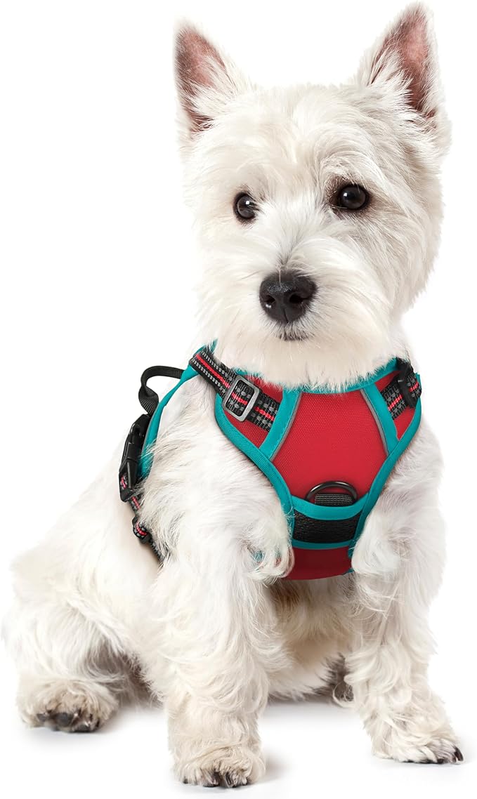 rabbitgoo Dog Harness No Pull with 2 Leash Clips, Adjustable Soft Padded, Reflective Oxford No Choke Pet Vest with Easy Control Handle for Puppy, Red &amp; Teal, XS