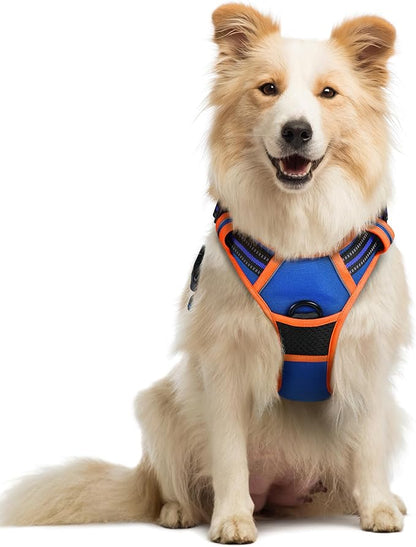 rabbitgoo Dog Harness No Pull with 2 Leash Clips, Adjustable Soft Padded, Reflective Oxford No Choke Pet Vest with Easy Control Handle for Medium Sized Dogs, Blue &amp; Orange, M