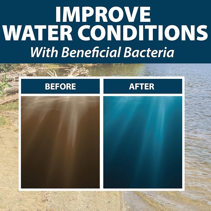 Airmax Pond Dye Plus, Twilight Blue Colorant &amp; Natural Beneficial Bacteria, Large Pond &amp; Lake Water Clarifier &amp; Color Treatment, Shade Plants &amp; Algae from Sunlight, Fish &amp; Livestock Safe, 4 Gallons
