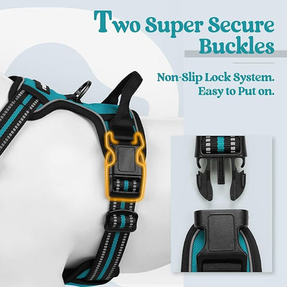 rabbitgoo Dog Harness No Pull with 2 Leash Clips, Adjustable Soft Padded, Reflective Oxford No Choke Pet Vest with Easy Control Handle for Large Dogs, Teal, L