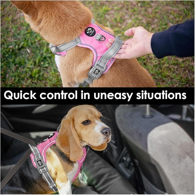PHOEPET No Pull Dog Harness, Unique Colors Reflective Adjustable Dog Vest, with Soft Training Handle Metal Clips for Small Medium Large Dogs (Baby Pink Base &amp; Grey Straps,L)