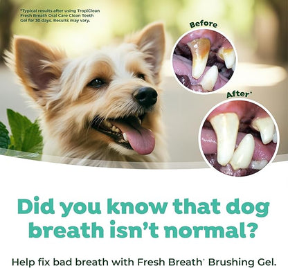 TropiClean Oral Care Brushing Gel for Dogs &amp; Cats| Dog Toothpaste | Pet Dental Gel | Dog Teeth Cleaning Use with Pet Toothbrush | 2 oz