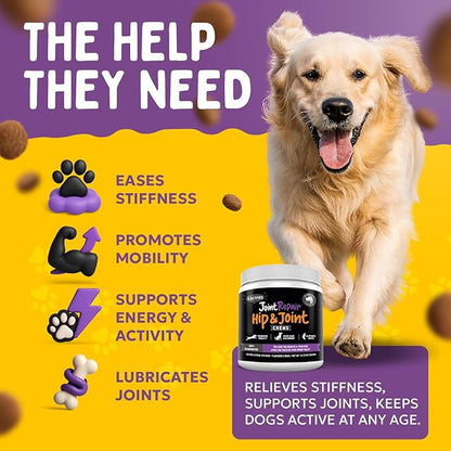 Joint Repair Hip and Joint Chews for Dogs Glucosamine, Chondroitin, MSM, Hemp, Omega 3 &amp; Turmeric for Dog Joint Support, Mobility &amp; Pain Relief - (120 Chicken Chews, Made in USA)