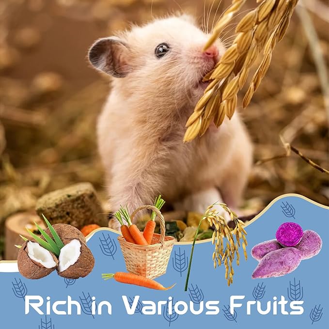 Garden Fruit &amp; Vegetable Hamster Food Mix Natural Small Pet Food Made for Hamsters 1LB Critical Care Healthy Dwarf Hamsters Feed New Packaging