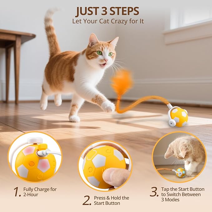 Cat Toy Ball,Interactive Cat Toy Ball with 3 Modes for Indoor Cat,The 2025 Generation Self Moving Cats Toy,Rolling Cats Toy with Feather &amp; Bells for Bored Cats &amp; Small dogs,Touch to Activate (Orange)