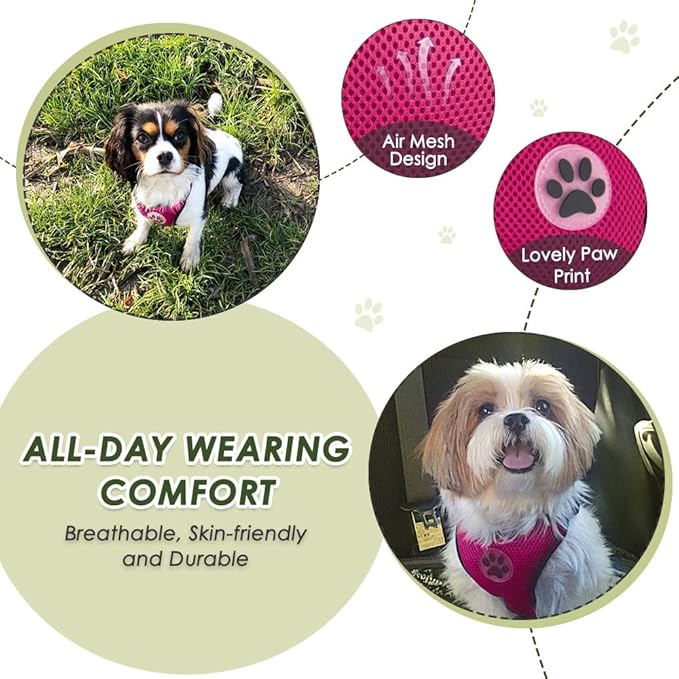SlowTon Dog Seat Belt Harness for Car, Dog Car Harness Adjustable Mesh Breathable &amp; Dog Seatbelt Safety Tether with Elastic Bungee for Small Medium Large Pets(Fuchsia, Double Clip, XS)