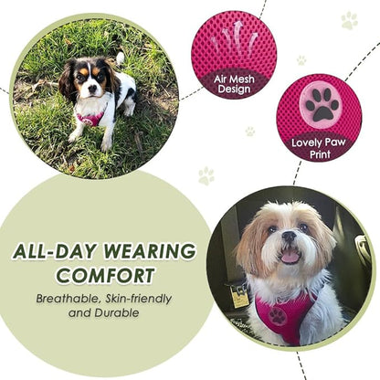 SlowTon Dog Seat Belt Harness for Car, Dog Car Harness Adjustable Mesh Breathable &amp; Dog Seatbelt Safety Tether with Elastic Bungee for Small Medium Large Pets(Fuchsia, Double Clip, S)