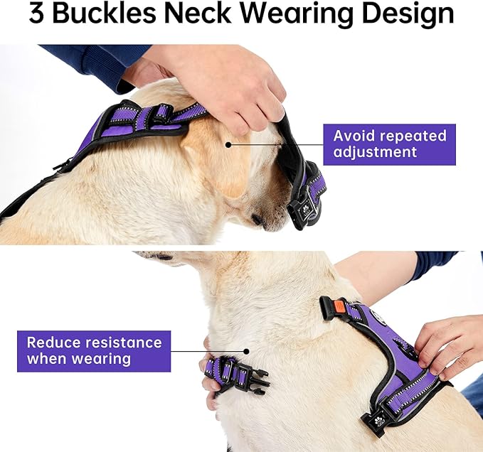 IVY&amp;LANE No Pull Dog Harness for Small Dogs, Dog Vest Harness with Leash, Safety Belt and Storage Strap, Fully Adjustable Harness, 360° Reflective Strip, Soft Handle (Purple, S)