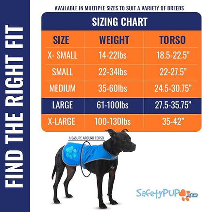 Dog Reflective Vest – Hi-Vis Fluorescent Visibility That Helps to Safeguard Your Pet On/Off Leash in Urban &amp; Rural Areas (Blue, Large)