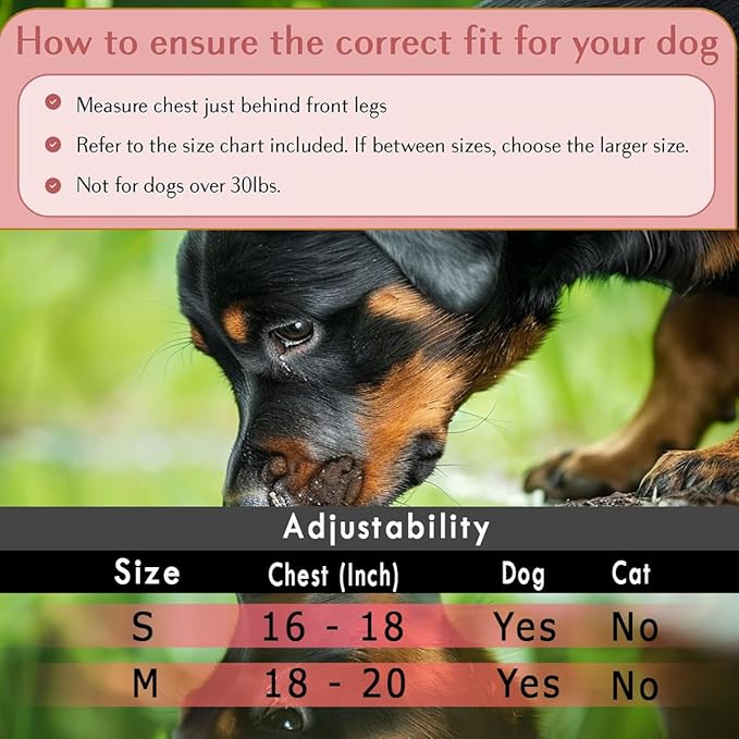 Comfort Fit Dog Harness Soft Padded No Pull Harness with Adjustable Buckles for Small Medium Large Dogs Step in Pet Vest with Easy Control Handle for Walking Jogging Running Training Dogs &amp; Puppies