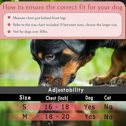 Comfort Fit Dog Harness Soft Padded No Pull Harness with Adjustable Buckles for Small Medium Large Dogs Step in Pet Vest with Easy Control Handle for Walking Jogging Running Training Dogs &amp; Puppies