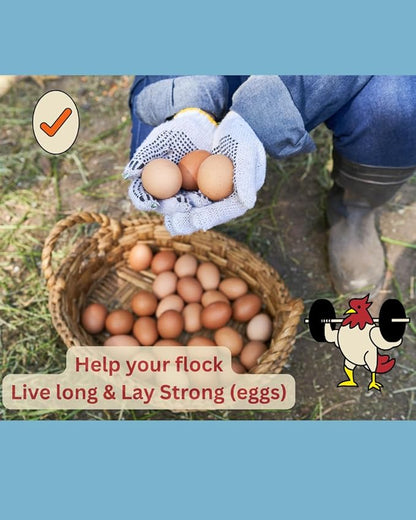LitChicks’ Calcified Seaweed for Laying Chickens - Crushed Oyster Shell Alternative - Highly Digestible - Single Ingredient - Helps with Egg Laying &amp; Flock Health. (5lbs)