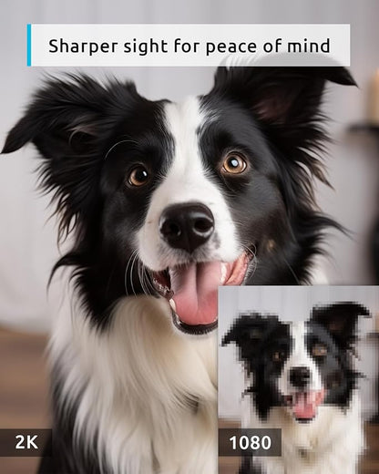 blurams Pet Camera 2K, 360° Dog Camera with Phone App, PTZ Indoor Cameras for Home Security Indoor, 2-Way Audio, Motion Tracking, Color/IR Night Vision, Siren, Cloud&amp;SD(2.4GHz Only)