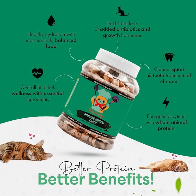 Freeze-Dried Duck Treats for Cats &amp; Dogs – 100% Human Grade, Single Ingredient, High-Protein, Healthy Snack – No Additives or Preservatives – 3.0oz - Inspected &amp; Tested in USA