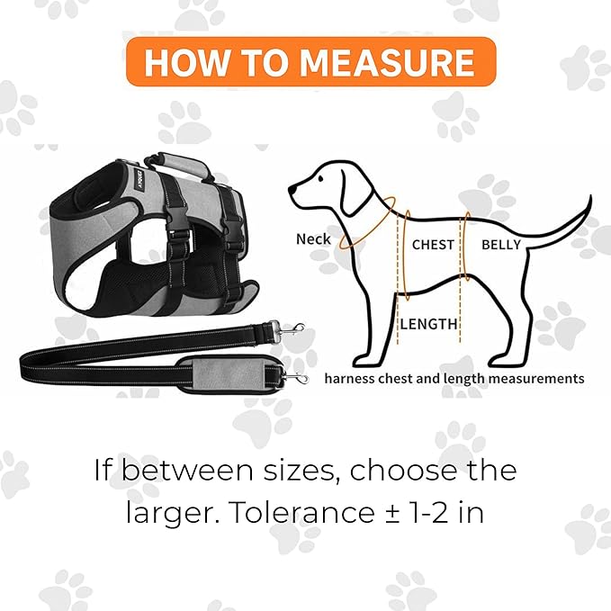 Ayquez Dog Lift Harness with Storage and Transport Bag, Dog Harness with Handle for Lifting &amp; Hip dysplasia, arnés para Perros pequeños, pechera para Perros (Gray, XL)