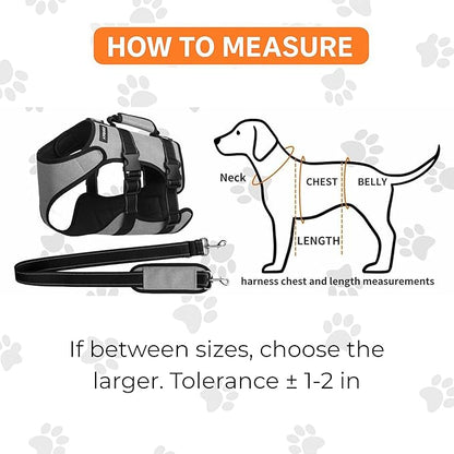 Ayquez Dog Lift Harness with Storage and Transport Bag, Dog Harness with Handle for Lifting &amp; Hip dysplasia, arnés para Perros pequeños, pechera para Perros (Gray, XL)