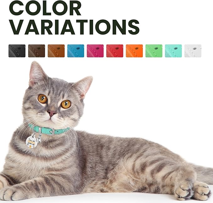 BRONZEDOG Leather Cat Collar with Removable Bells Non Breakaway Kitten QR Tag for Girl Boy (7" - 9" for Cats, Turquoise &amp; Silver)