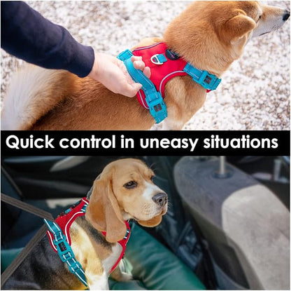 PHOEPET No Pull Dog Harness, Unique Colors Reflective Adjustable Dog Vest, with Soft Training Handle Metal Clips for Small Medium Large Dogs (Red Base &amp; Teal Straps,L)