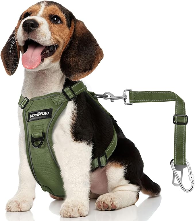 Dog Seat Belt Harness for Car, Dog Car Harness Adjustable Mesh Breathable &amp; Dogs Seatbelt Safety Tether with Elastic Bungee for Small Medium Large Pets(Army Green, S)