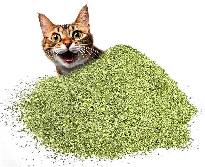 Fiend Catnip Safety-Cut 100% Pure Potent Fine Cat Nip for Cats &amp; Kittens – Ultra Potent, North American – 1 Cup (34.5g) Canister – Go Ahead, Create a Monster!
