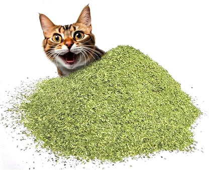 Fiend Catnip Safety-Cut 100% Pure Potent Fine Cat Nip for Cats &amp; Kittens – Ultra Potent, North American – 1 Cup (34.5g) Canister – Go Ahead, Create a Monster!
