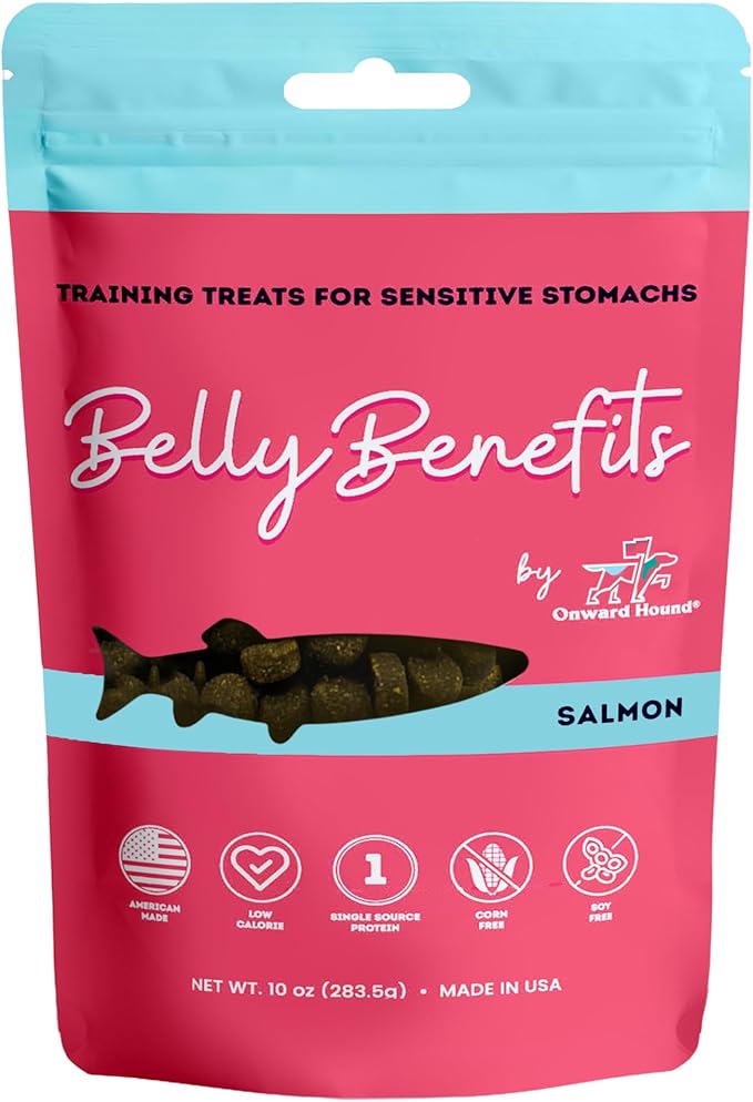 Training Treats for Dogs - Soft Salmon - Low Calorie Dog Training Treats for Sensitive Stomachs with Single Source Premium Protein, Corn Free, &amp; Soy Free Formula - 10 oz