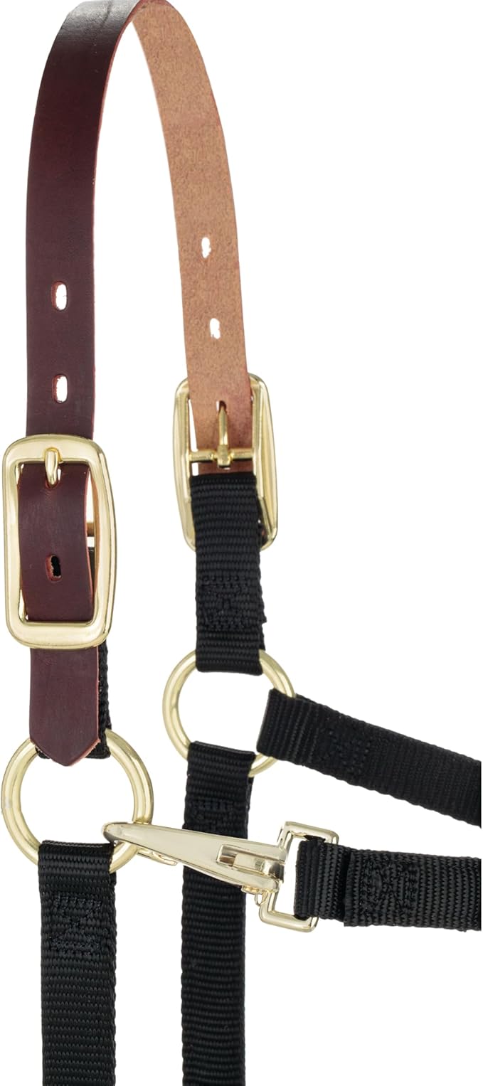 Weaver Equine Breakaway Horse Halter, Supple Leather Crown, Adjustable Chin &amp; Throat Snap Halters for Horses, Equine Tack,Pony Size, Black
