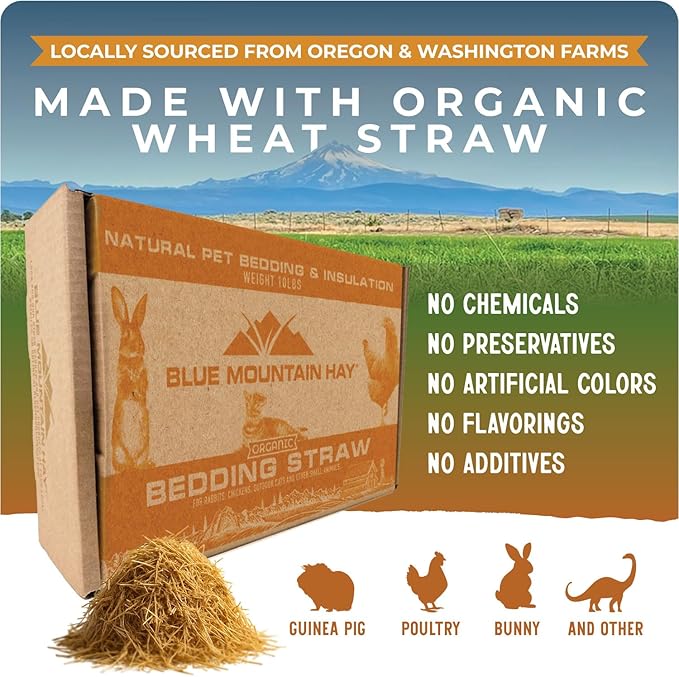 Blue Mountain Hay | Organic Bedding Straw (25 lb) | Natural Pet Bedding &amp; Insulation for Rabbits, Guinea Pigs, Goats, Chickens, Stray &amp; Feral Cats, and Small Animal Shelters