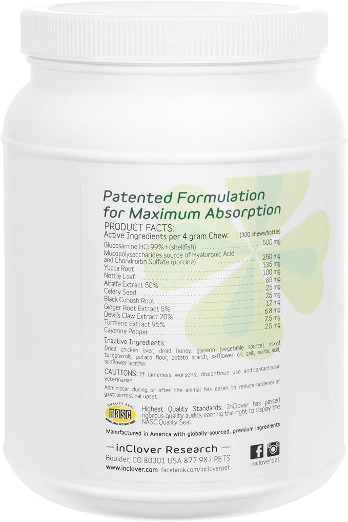 InClover Connectin Natural Hip &amp; Joint Supplement for Dogs with Glucosamine, Chondroitin &amp; Hyaluronic Acid - Soft Chew for Dog Mobility, Comfort &amp; Active Lifestyle Support, 300 Count