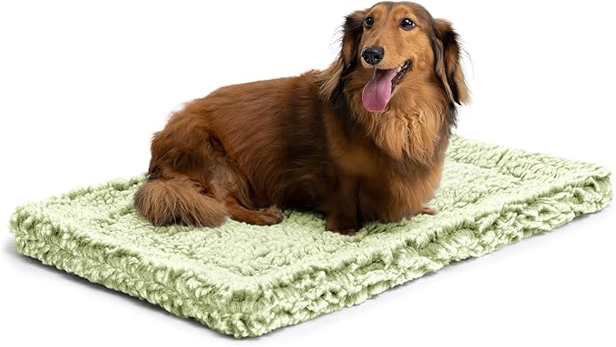 Stoutwool Indestructible Dog Bed - Fluffy Chew Proof Dog Crate Pad - Tough Kennel Pad for Aggressive Chewers - Washable, Ideal for Small Breeds &amp; Fits 24-Inch Crate - 23"x16", Gleam