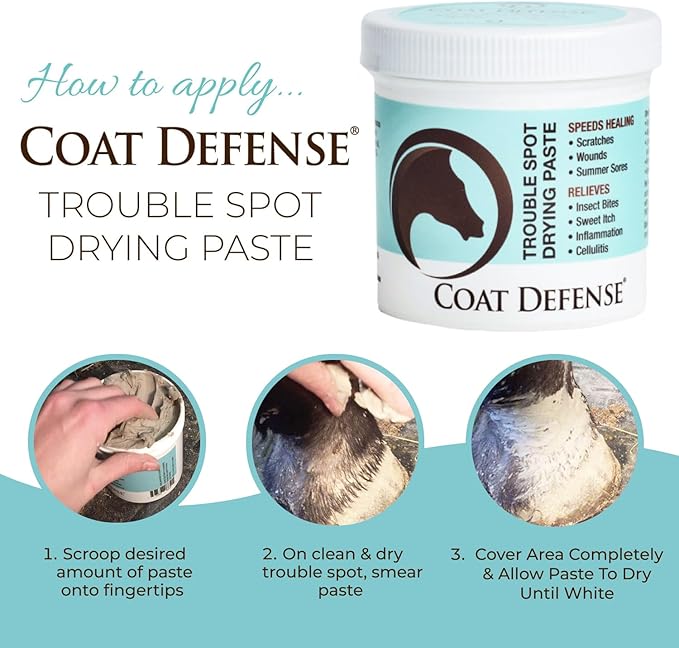 COAT DEFENSE Trouble Spot Drying Paste for Horses - Natural Equine Wound Care That Provides Safe &amp; Effective Relief from Scratches, Sweet Itch, Summer Sores, Proud Flesh, Mud Fever, Girth Rot (24 Oz)