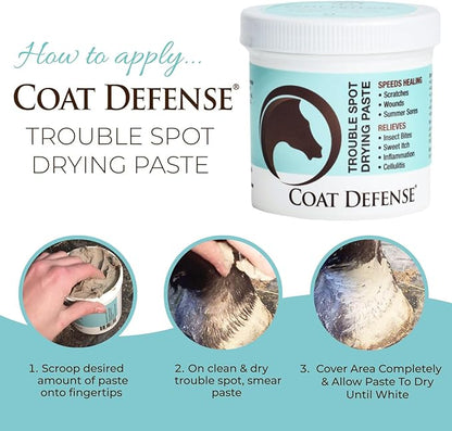 COAT DEFENSE Trouble Spot Drying Paste for Horses - Natural Equine Wound Care That Provides Safe &amp; Effective Relief from Scratches, Sweet Itch, Summer Sores, Proud Flesh, Mud Fever, Girth Rot (24 Oz)