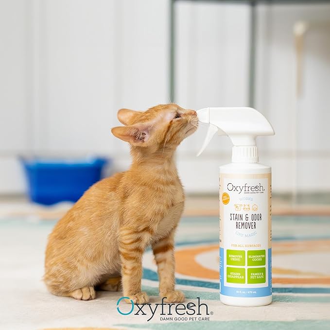 Oxyfresh Advanced Pet Stain Remover &amp; Urine Odor Eliminator – Fast Acting Pet Odor Eliminator for All Surfaces - Best Way to Remove Stains - Dog &amp; Cat Urine Neutralizer