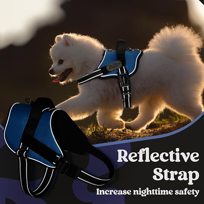 rabbitgoo Dog Harness Medium Sized, Easy On Pet Vest with One Buckle, No Pull Adjustable Service Harness with D-Ring &amp; Handle, Reflective for Safety Walking, Training, Blue, M