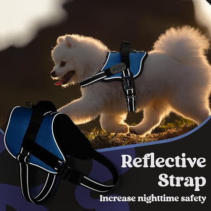 rabbitgoo Dog Harness for Small, Easy On Pet Vest with One Buckle, No Pull Adjustable Service Harness with D-Ring &amp; Handle, Reflective for Safety Walking, Training, Blue, S