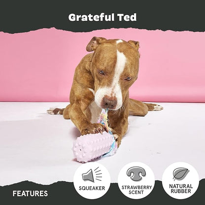 Barkbox Grateful Ted Dog Toy for Medium Dogs – Strawberry-Scented Rip &amp; Reveal Toy for Determined Chewers and Interactive Playtime