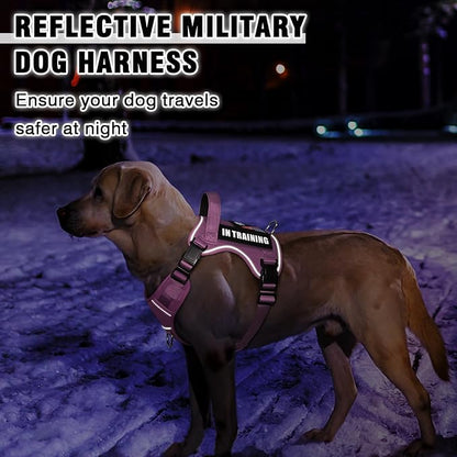 WINSEE Service Dog in Training Harness with 5 PCS Patches, Reflective Tactical Dog Vest Harness, Adjustable Soft Oxford Pet Harness with Easy Control Handle, Hook &amp; Loop Panels for Walking Hiking